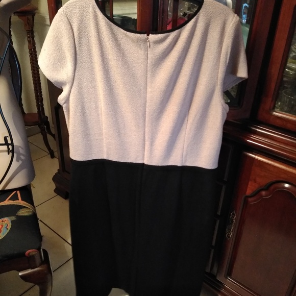 Dress - Picture 2 of 4